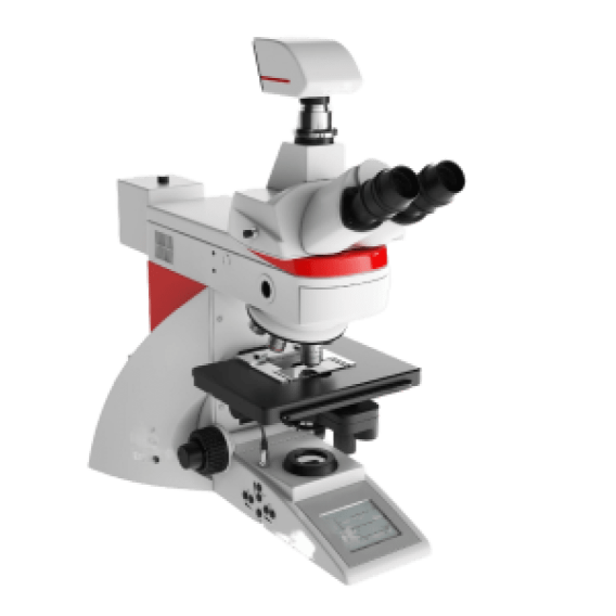 Blood Pressure Monitor